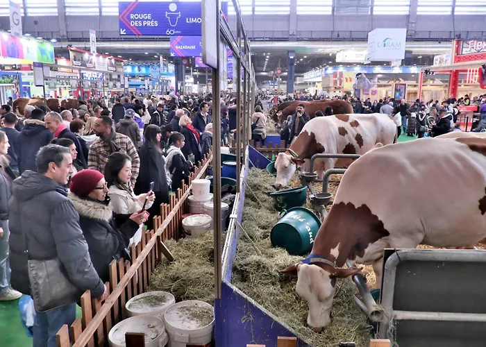 Fred'Hotel Pas Cher Paris